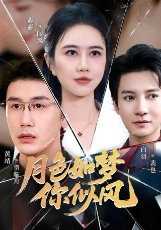 短剧月色如梦你似风海报