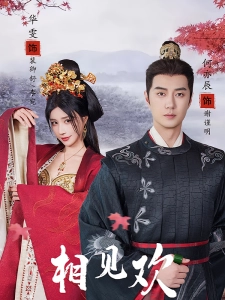 短剧相见欢海报