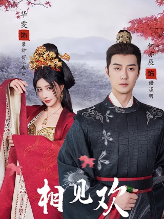 短剧相见欢海报