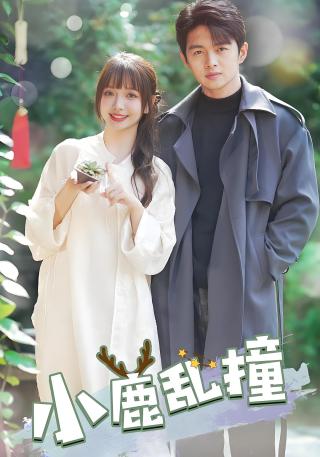 短剧小鹿乱撞海报