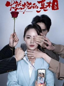 短剧燃烧的真相海报