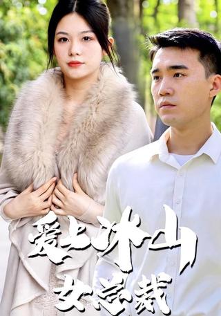 短剧爱上冰山女总裁海报