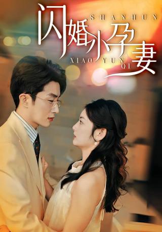 短剧闪婚小孕妻海报