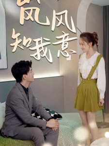 短剧“岚”风知我意海报