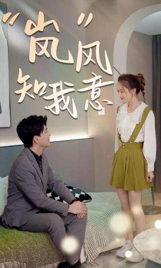 短剧“岚”风知我意海报