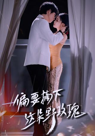 偏要摘下这朵野玫瑰