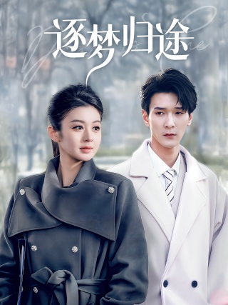 短剧逐梦归途海报