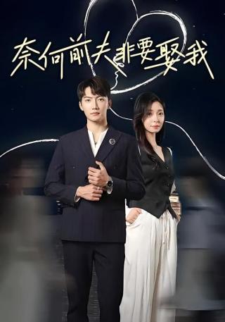 短剧奈何前夫非要娶我海报