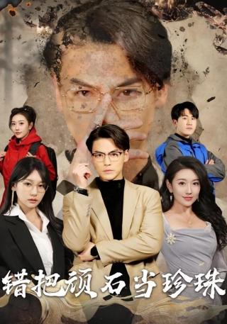 短剧错把顽石当珍珠海报