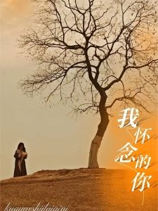 短剧我怀念的你海报