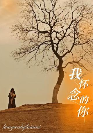 短剧我怀念的你海报