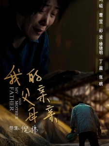 短剧我的父亲母亲海报
