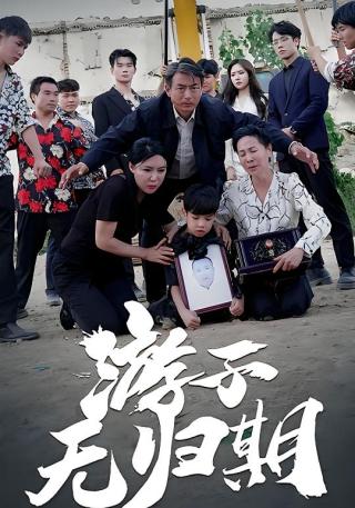 短剧游子无归期海报