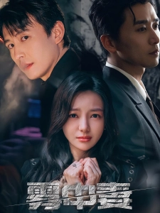 短剧雾中妻海报