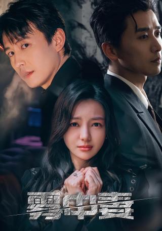 短剧雾中妻海报