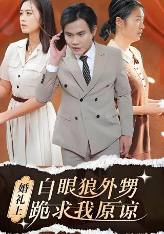 短剧婚礼上白眼狼外甥跪求我原谅海报