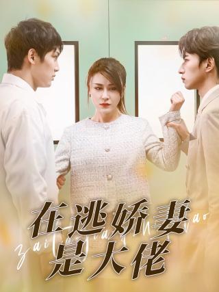 短剧在逃娇妻是大佬海报