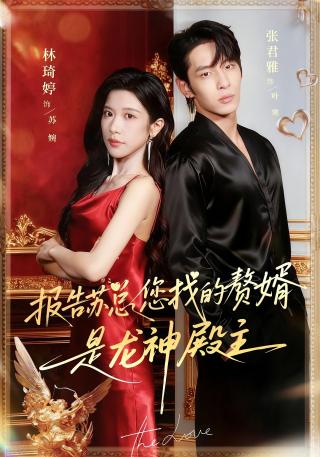 短剧报告苏总，您找的赘婿是龙神殿主海报