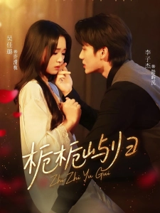 短剧栀栀屿归海报