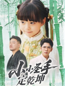短剧小小圣手定乾坤海报