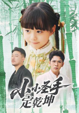 短剧小小圣手定乾坤海报