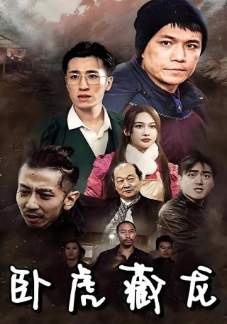 短剧卧虎藏龙海报