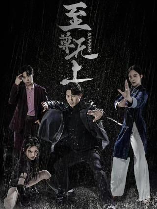 短剧至尊无上海报