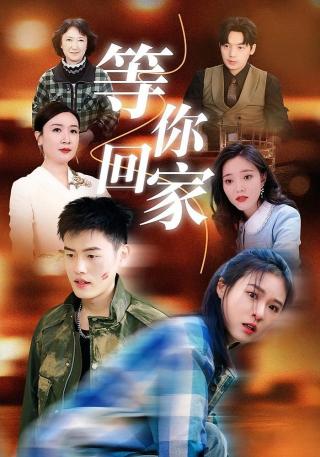 短剧等你回家海报