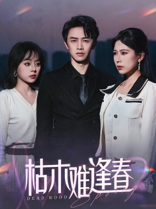 短剧枯木难逢春海报