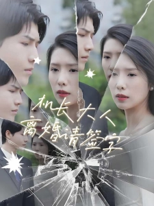 短剧机长大人，离婚请签字海报