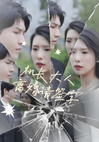 短剧机长大人，离婚请签字海报