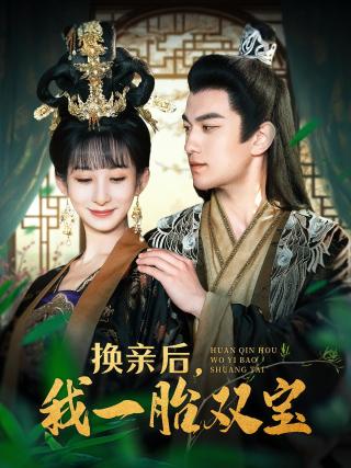 短剧换亲后，我一胎双宝海报