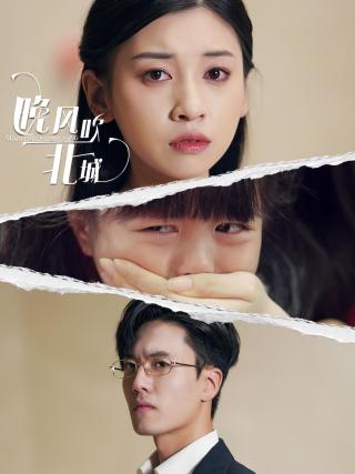 短剧晚风吹北城海报