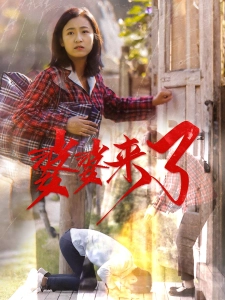 短剧婆婆来了海报