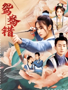 短剧鸳鸯错海报