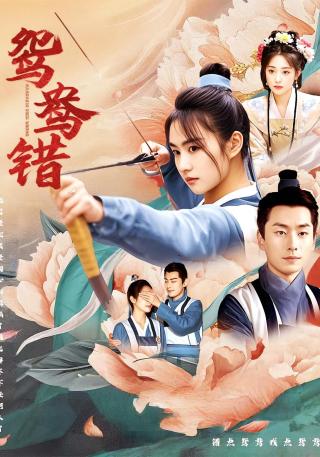 短剧鸳鸯错海报