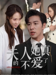 短剧夫人她真的不爱了海报