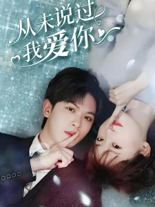 短剧从未说过我爱你海报