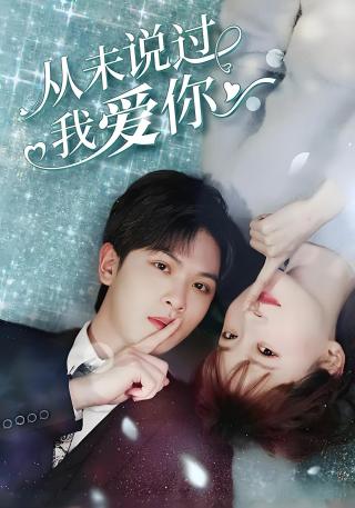 短剧从未说过我爱你海报