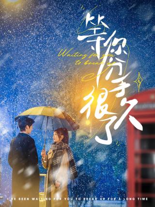 短剧等你分手很久了海报