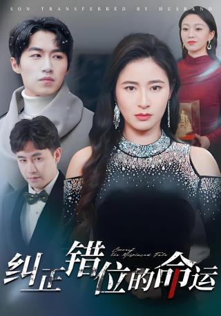 短剧纠正错位的命运海报