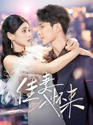 短剧佳妻入怀来海报