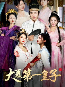 短剧大夏第一皇子海报