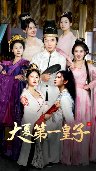 短剧大夏第一皇子海报