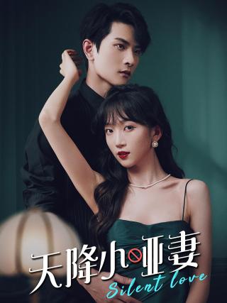 短剧天降小哑妻海报