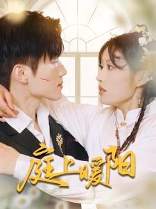 短剧庭上暖阳海报