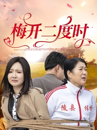 短剧梅开二度时海报