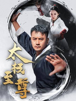 短剧太极至尊海报