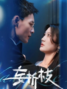 短剧妄折枝海报