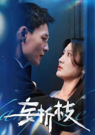 短剧妄折枝海报